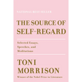 The Source of Self-Regard: Selected Essays, Speeches, and Meditations