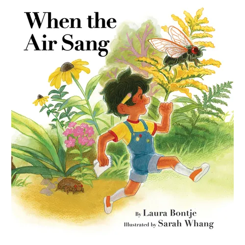 When the Air Sang