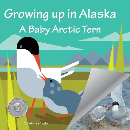 Growing up in Alaska: A Baby Arctic Tern