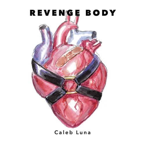Revenge Body