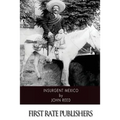 Insurgent Mexico