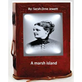 A marsh island.By: Sarah Orne Jewett (Original Classics)