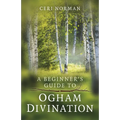 Beginner's Guide to Ogham Divination