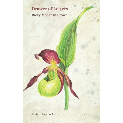 Drawer of Letters
