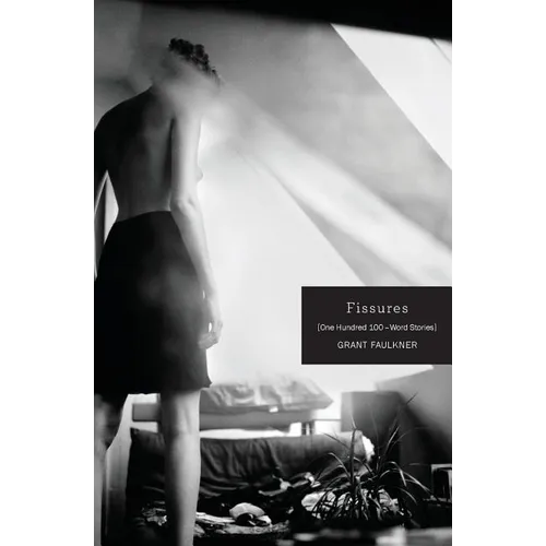 Fissures: One Hundred 100-Word Stories
