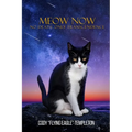 Meow Now: No Death, Only Transcendence