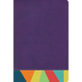 Rvr 1960 Biblia de Estudio Arcoiris, Morado/Multicolor
