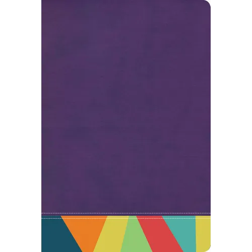 Rvr 1960 Biblia de Estudio Arcoiris, Morado/Multicolor