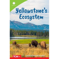 Yellowstone's Ecosystem
