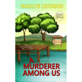 A Murderer Among Us