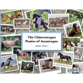 The Chincoteague Ponies of Assateague: Volume I Stallions