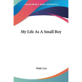 My Life As A Small Boy