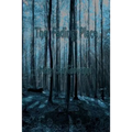 The Fading Place