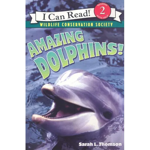 Amazing Dolphins!