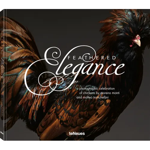 Feathered Elegance: A Photographic Celebration of Chickens