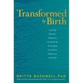 Transformed by Birth: Cultivating Openness, Resilience, and Strength for the Life-Changing Journey from Pregnancy to Parenthood