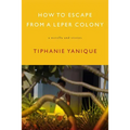 How to Escape from a Leper Colony: A Novella and Stories