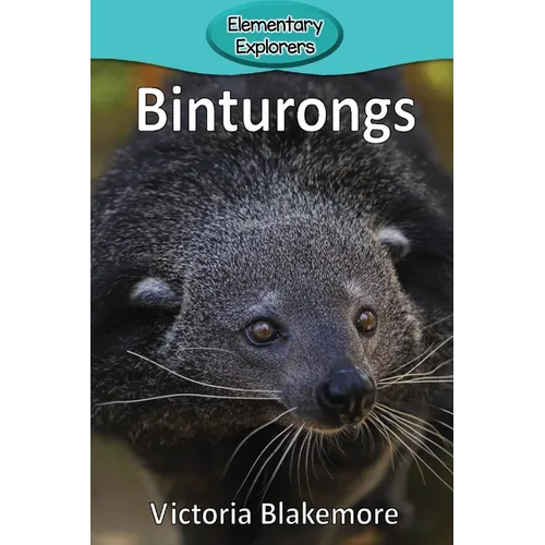 Binturongs