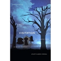 Visitation: The Conjure Work of Black Feminist Avant-Garde Cinema