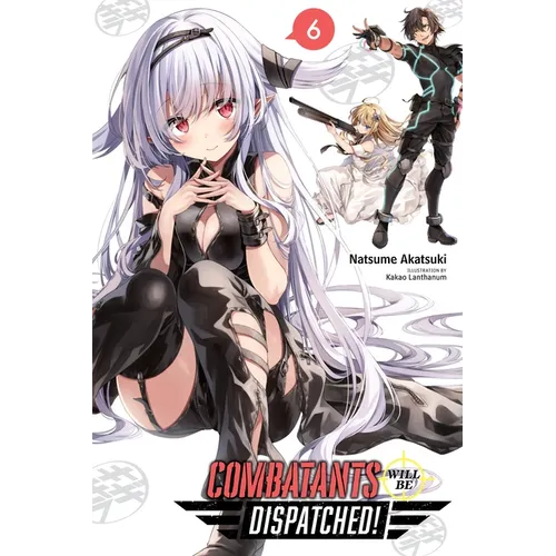 Combatants Will Be Dispatched!, Vol. 6 (Light Novel): Volume 6