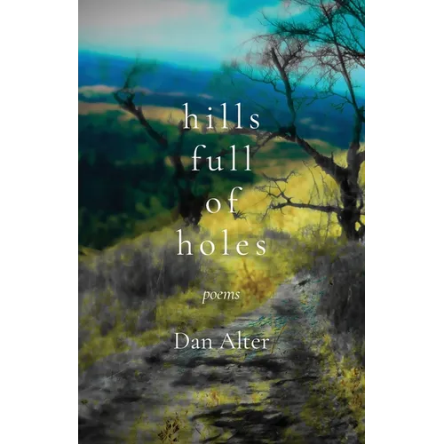 Hills Full of Holes: Poems