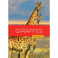 Giraffes