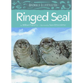 Animals Illustrated: Ringed Seal