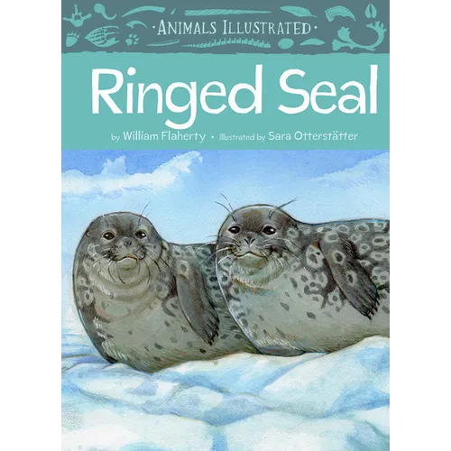 Animals Illustrated: Ringed Seal