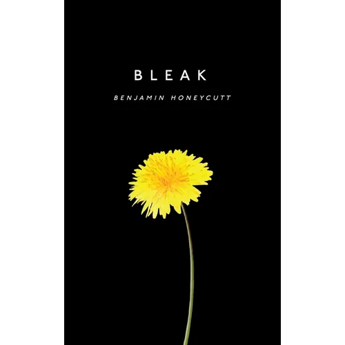 Bleak: A Story of Bullying, Rage and Survival