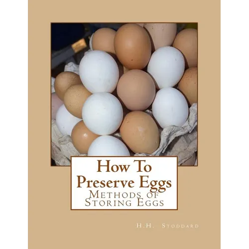 How To Preserve Eggs: Methods of Storing Eggs