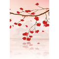 Japanese Writing Practice Book: Small Japanese Language Character Writing Practice Workbook: Kanji, Kana, Hiragana or Katakana Genkouyoushi Paper: 150