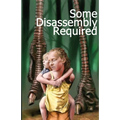 Some Disassembly Required