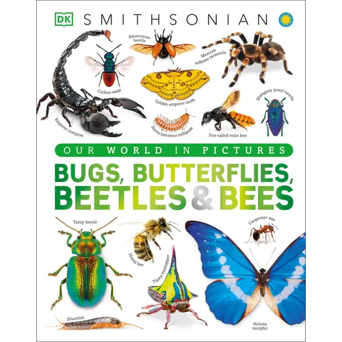 Bugs, Butterflies, Beetles and Bees: A Visual Bug and Insect Encyclopedia for Kids