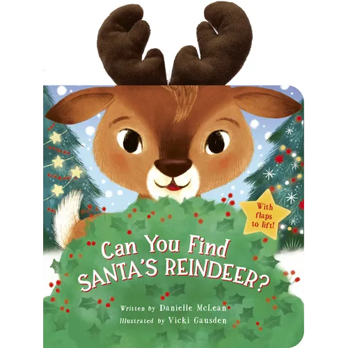 Can You Find Santa's Reindeer?: With Flaps to Lift!