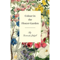 Colour in the Flower Garden