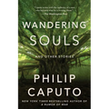 Wandering Souls: And Other Stories