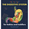 The Digestive System for Babies and Toddlers