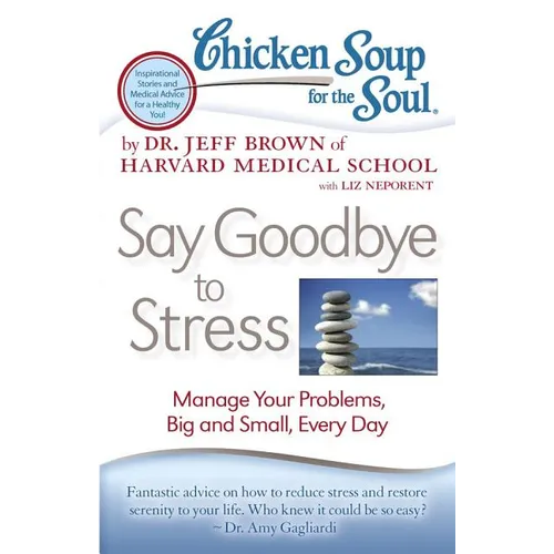 Chicken Soup for the Soul: Say Goodbye to Stress: Manage Your Problems, Big and Small, Every Day