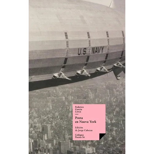 Poeta en Nueva York