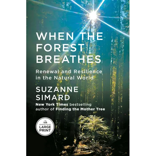 When the Forest Breathes: Renewal and Resilience in the Natural World