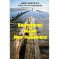 Shipwrecks of Maine and New Hampshire