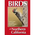 Birds of Northern California