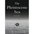 The Pleistocene Sea