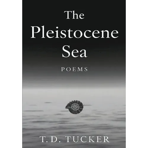 The Pleistocene Sea