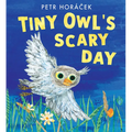 Tiny Owl's Scary Day