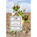 Autobiography of Cotton