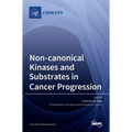 Non-canonical Kinases and Substrates in Cancer Progression