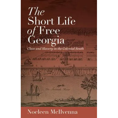 The Short Life of Free Georgia: Class and Slavery in the Colonial South