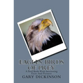 Eagles: Birds of Prey