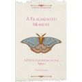 A Fragmented Moment